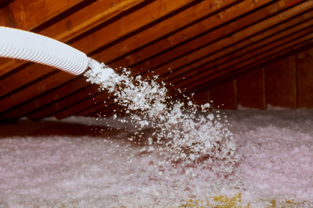 Professional Insulation Contractor in SC